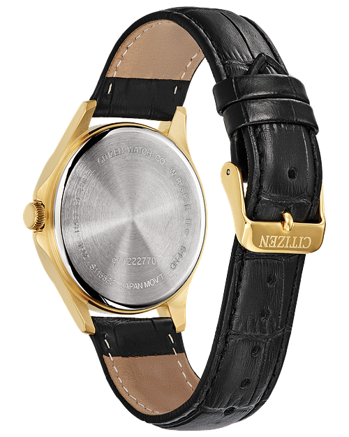 Reloj Citizen Cuarzo Caballero BF2003-25A